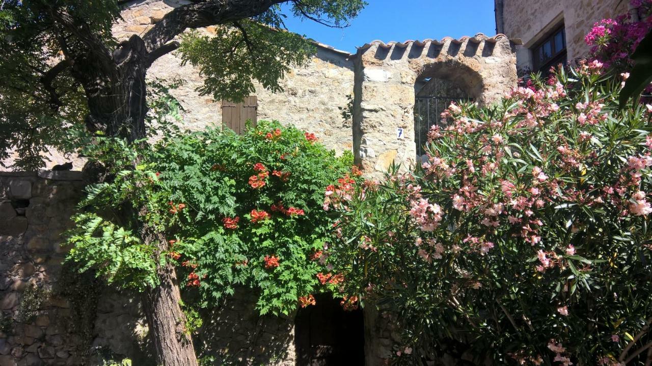Les Studios De St Guilhem Saint-Guilhem-le-Desert Εξωτερικό φωτογραφία