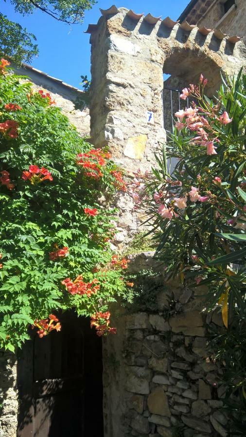 Les Studios De St Guilhem Saint-Guilhem-le-Desert Εξωτερικό φωτογραφία