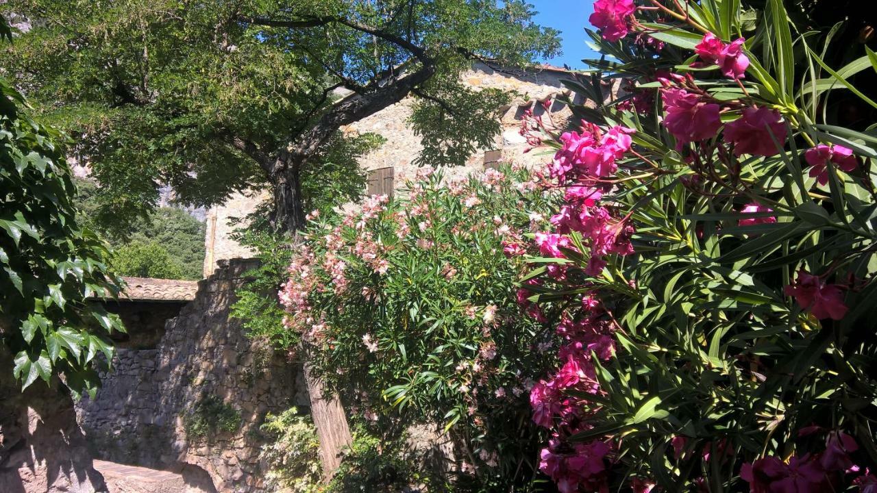 Les Studios De St Guilhem Saint-Guilhem-le-Desert Εξωτερικό φωτογραφία
