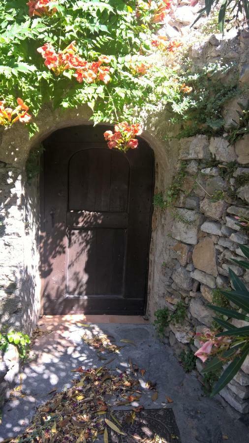 Les Studios De St Guilhem Saint-Guilhem-le-Desert Εξωτερικό φωτογραφία